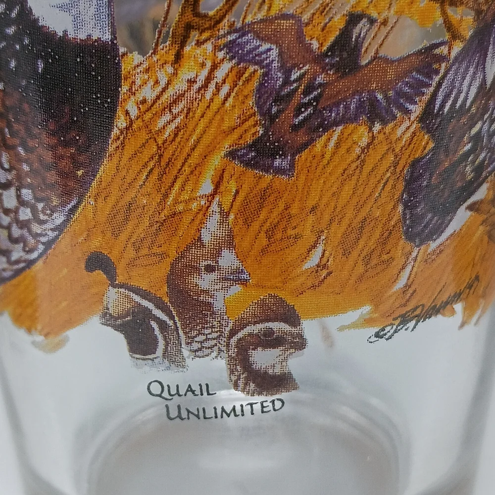 Budweiser Wildlife Collector Pint Glasses Set – Vintage Beer Glasses with Wildli